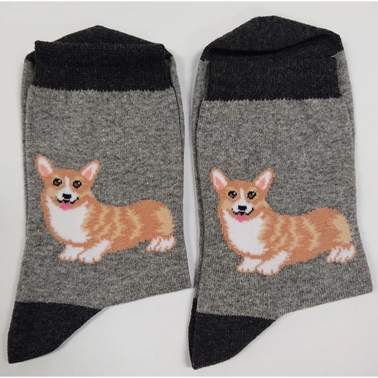 YVONNE - CORGI - bokazokni