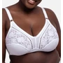 Kép 1/4 - DORINA Madeline mervítő nélküli melltartó
